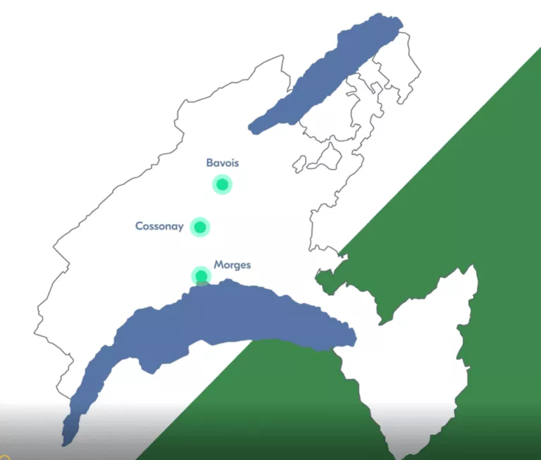 Maillard Entreprise Générale SA construit ! Découvrez nos chantiers ouverts